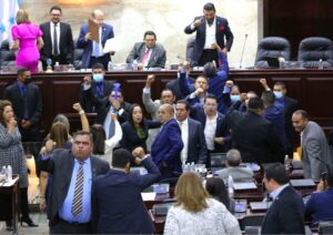 Congreso Nacional suspendió sesión por insurrección
